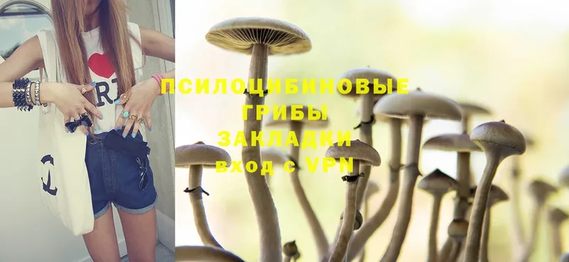 купить   Ялуторовск  мега   Галлюциногенные грибы Psilocybe 